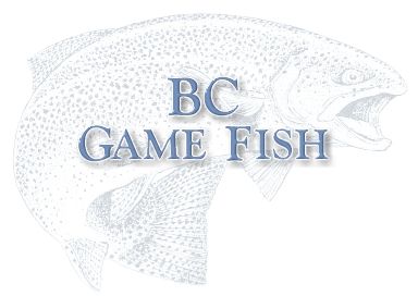 British Columbia  Game Fish